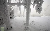 Nga: Nhiệt độ xuống -50oC ở Đông Siberia