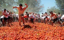 Độc đáo lễ hội cà chua ở Quillon, Chile
