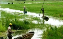 ĐBSCL: Nguy hại từ xâm nhập mặn