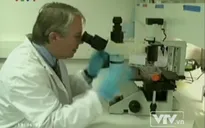 Thử nghiệm vaccine chống HIV
