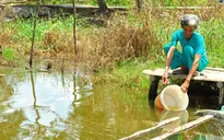 200.000 dân tại Cà Mau thiếu nước sạch