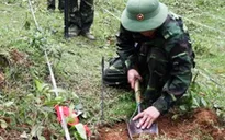 Hôm nay (4/4), ngày thế giới phòng chống bom mìn