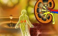 Hạn chế tác động thuốc chữa đái tháo đường với bệnh thận