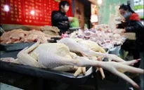 Biện pháp phòng tránh dịch cúm H7N9?