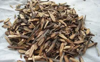 Điều trị chứng ngứa da mùa lạnh