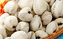 Sò huyết bổ ngũ tạng, trị viêm loét dạ dày tá tràng