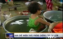 Cúm gia cầm phức tạp, người dân vẫn thờ ơ