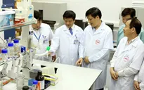 WHO cảnh báo nguy cơ bùng phát cúm A/H7N9