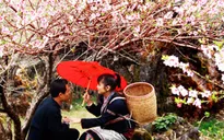 Sẵn sàng đến với Chợ tình Khâu Vai 2013