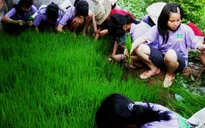 Dạy trẻ hiểu giá trị của lao động
