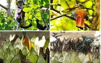 Rút hồ sơ đề cử Vườn quốc gia Cát Tiên là Di sản thế giới