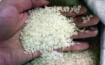 Gạo sử dụng chất tẩy trắng... hại đơn hại kép