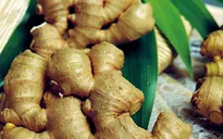 Những phương thuốc hữu hiệu trị táo bón