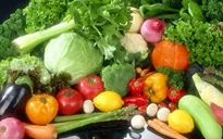 Những “hung thủ” giấu mặt gây bệnh trĩ