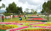 Đà Lạt hoàn tất công tác chuẩn bị cho Tuần lễ văn hóa du lịch 2013