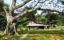 Quy hoạch di tích Tân Trào gắn với phát triển du lịch