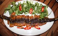 Ba món ăn ngon miệng từ lươn