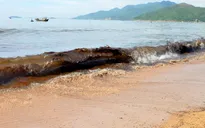 Bài học từ vụ tràn dầu biển Quy Nhơn