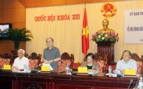 Hội đồng Hiến pháp trong Dự thảo sửa đổi Hiến pháp năm 1992