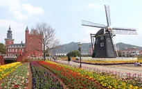 Giá trị văn hóa truyền thống Nhật Bản hấp dẫn du khách