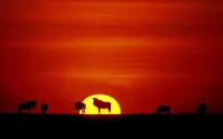 Những địa danh trên thế giới: Đất nước Tanzania