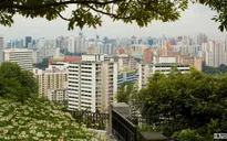 Singapore và chiến lược phủ xanh thành phố