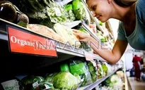 Anh Quốc mở cửa siêu thị giá siêu rẻ cho người nghèo