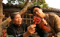 Gà Đông Tảo - Món quà Tết độc đáo của Hưng Yên