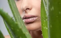 Làm đẹp da bằng thảo dược, Collagen