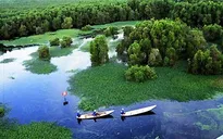 Khám phá rừng U Minh Hạ