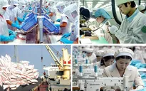 Hơn 25 tỷ VND xúc tiến thương mại quốc gia