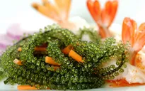 Đặc sản biển Nha Trang - Rong nho biển