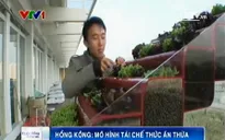 Ý tưởng hay tái chế thức ăn thừa ở Hong Kong (Trung Quốc)