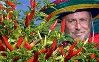 Lễ hội Ớt trên đất nước Mexico