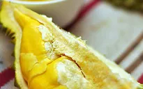 Việt Nam có 3 trong số 10 món ăn lạ nhất thế giới