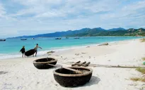 10 lý do nên du lịch đảo Bình Ba ít nhất một lần trong đời