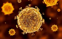 Bệnh nhi được thông báo chữa khỏi HIV lại tái nhiễm