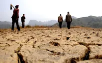 Triều Tiên đối mặt đợt hạn hán nghiêm trọng nhất hơn 10 năm qua