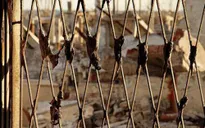 Làng du lịch bỏ hoang bởi chìm trong nước suốt 25 năm