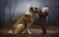 Khi trẻ em và thú cưng ở bên nhau