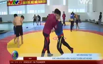 Vật Hà Nội và hướng đào tạo VĐV từ cơ sở
