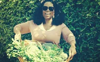 Hàng triệu lượt like cho bức ảnh Oprah Winfrey thu hoạch hoa quả tại vườn