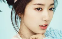 Kiều nữ "Những người thừa kế" muốn đóng phim với Ha Ji Won