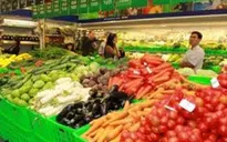 Lần đầu tiên gắn nhãn xanh cho rau Vietgap