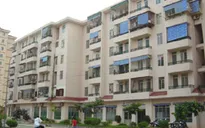 Sẽ có Nghị định về phát triển nhà ở xã hội