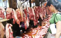 Tái phát nạn heo bơm nước trước khi giết mổ