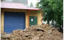 Nan giải xử lý thuốc bảo vệ thực vật nhập lậu
