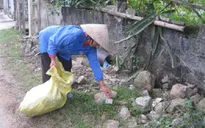 Đầu năm, cả làng đi nhặt rác