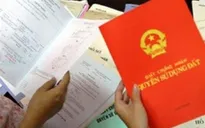 Cảnh giác hành vi lừa đảo sổ đỏ đất lâm nghiệp