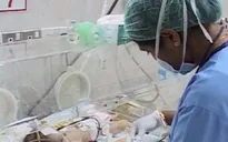Iraq thuê y tá nước ngoài để giải quyết thiếu hụt